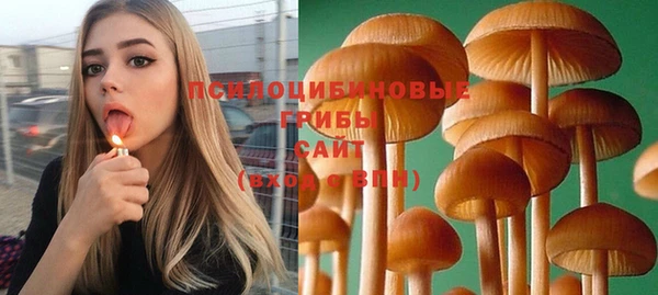 бошки Иннополис